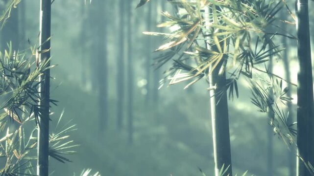 Sunlight shines through tall bamboo trees in a dense forest. The greenery surrounds a pathway that leads deeper into the woods. The scene is peaceful and full of life.