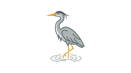 Naklejka premium Grey heron standing in water ripples.