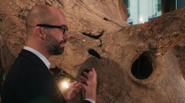 Male scientist in a museum explaining the anatomy of a giant dinosaur skeleton from the jurassic era