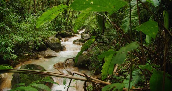 Cascading river with clear blue water flows between rocks and dense rainforest vegetation