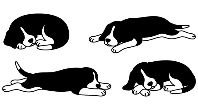 Set of sleeping beagle dog vector art isolated on transparent background