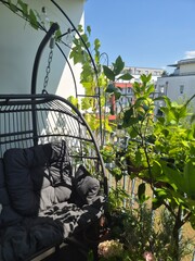 Apartment balcony, relaxing outdoor lounge and garden space. Comfortable dark wicker hanging egg...