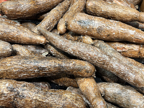 Background texture of fresh whole cassava roots, also known as yuca, piled at a farmers market