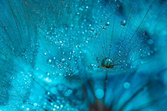 Extreme macro abstract close-up of cyan dandelion seeds with water drops for digital wallpaper, modern background design, and textile pattern texture
