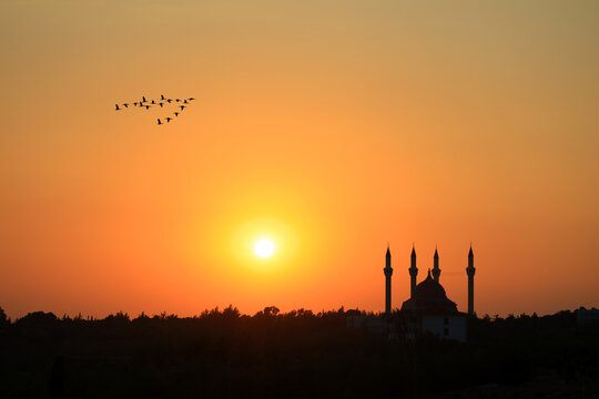 dramatic sunset with birds and 
mosque silhouette
