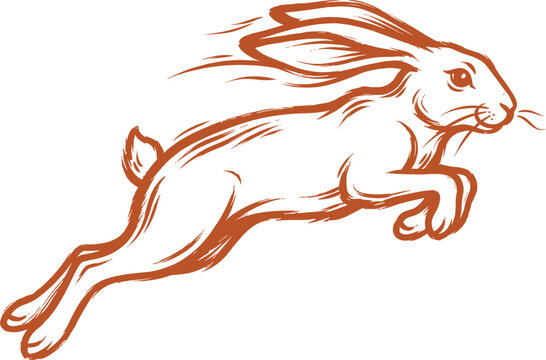 Hand Drawn Leaping Hare Rabbit Line Art Illustration