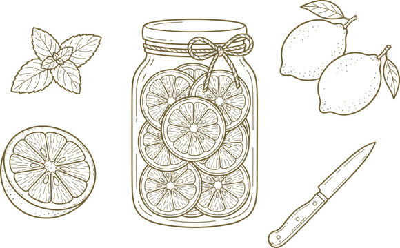 Hand Drawn Lemon Slices In Jar With Mint