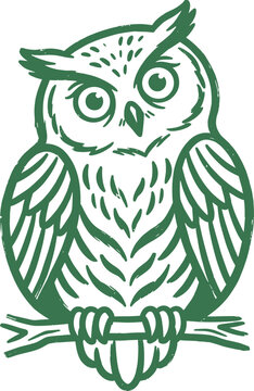 Hand Drawn Owl Perched On Branch Illustration