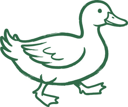 Hand Drawn Walking Duck Line Art Illustration Design