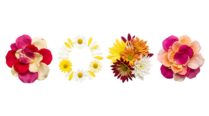 Obraz premium Floral bouquets and petals arranged in circular shapes.