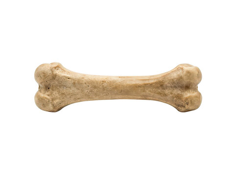 A single brown dog bone treat for pets isolated on a plain surface