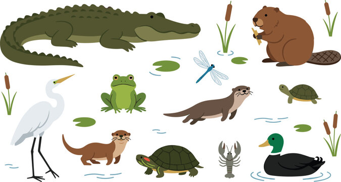 Cute Swamp and River Animal Set featuring Alligator, Beaver, Heron, Frog, Otter, Duck, and Turtle for Kids Education Designs Vector Illustration