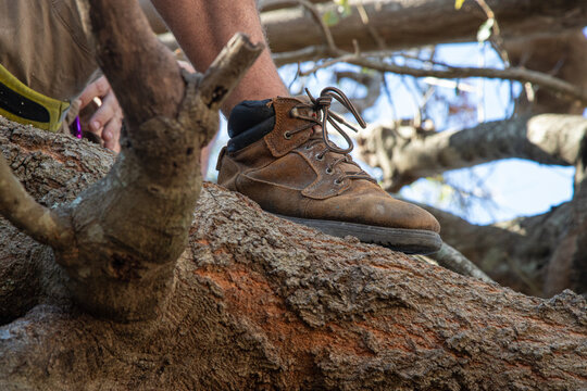 Close-up of a man's leg and boot while sitting in a tree