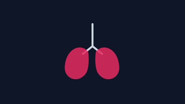 Human lungs breathing animation: medical anatomy concept for respiratory health and pulmonology education 4k