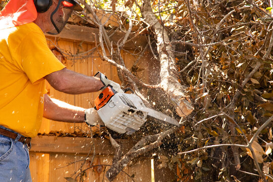 Close-up side view of a man standing in garden wearing a protective mask chopping down a branch by a fence with a chainsaw