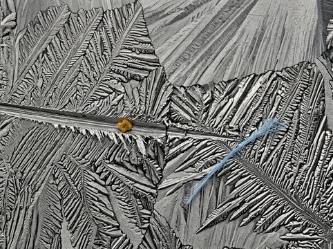 Frost pattern on glass with delicate blue feather detail