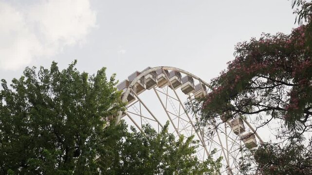 Ferris wheel behind green trees in Budapest
