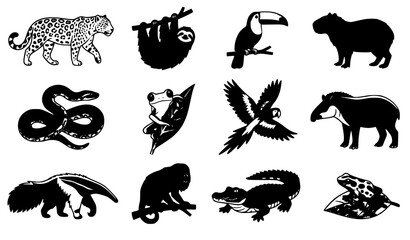 Obraz premium South American rainforest animals vector set with jaguar sloth toucan capybara monkey and macaw