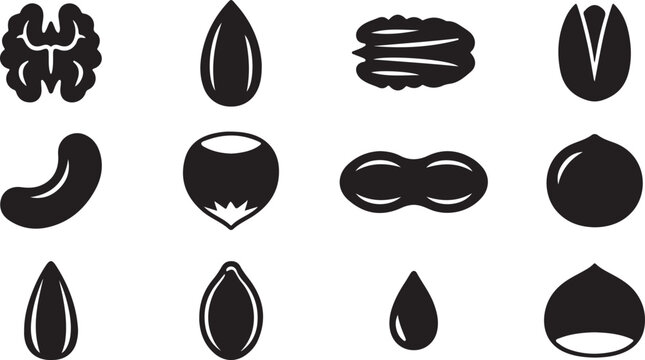 Set of black nut and seed featuring walnuts, almonds, pecans, pistachios, cashews, hazelnuts, peanuts, and sunflower seeds for snacks