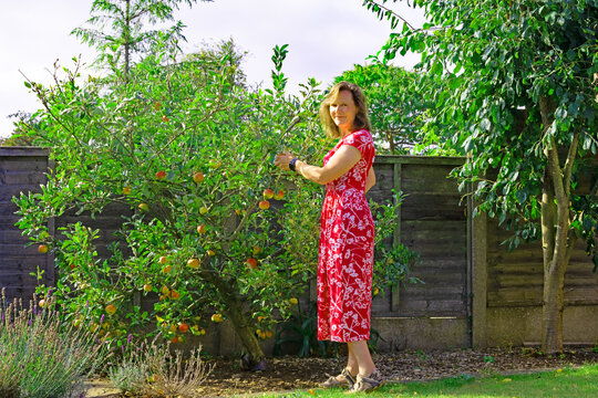 Portrait beside the apple tree.