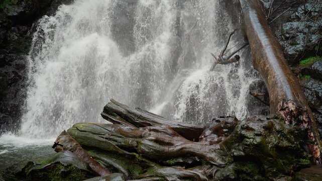 Scenic mountain waterfall flowing past fallen trees and logs.