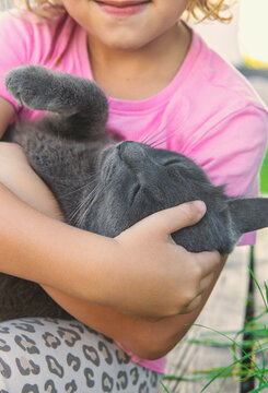A child loves a cat outdoors. Selective focus.
