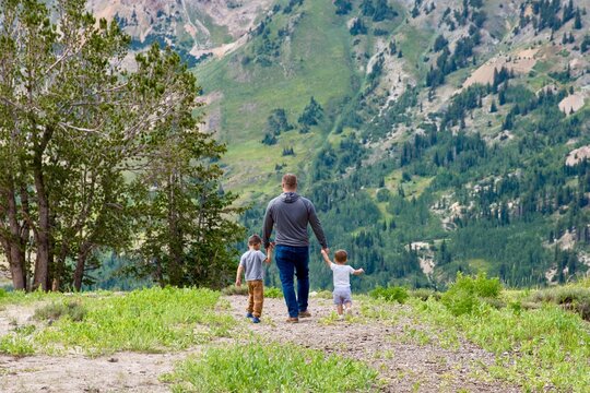 Rear view of a man walking hand in hand with two sons along a footpath, Albion Basin Meadow, Albion Basin, Little Cottonwood Canyon, Utah, USA