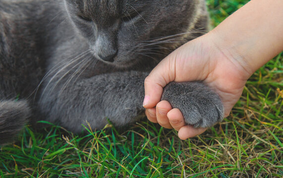 A child loves a cat outdoors. Selective focus.
