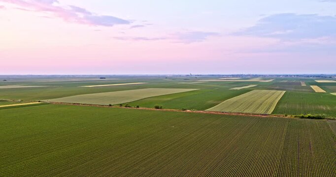 Aerial view of green agricultural fields and farmland at beautiful summer sunset