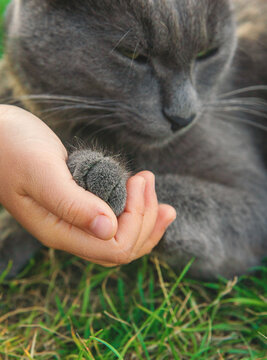 A child loves a cat outdoors. Selective focus.