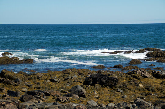 Rocky Coast Of Maine Looking at Atlantic Ocean