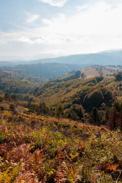 Autumn mountain landscape with trees and distant hills