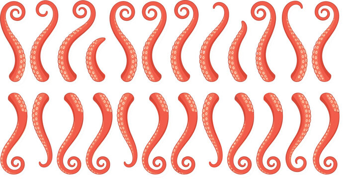 Red octopus tentacles with suckers collection set aquatic sea creature monster arms isolated vector clipart illustration