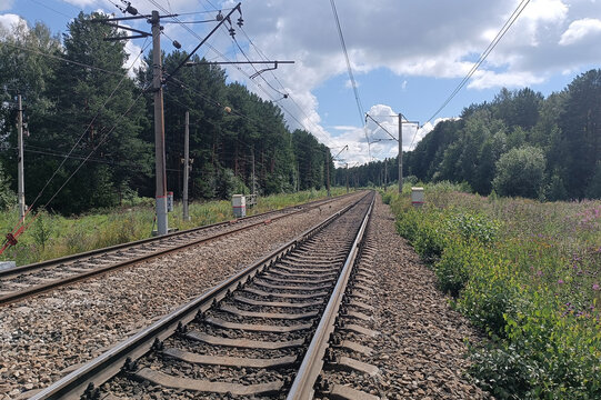 Double track railway passing through dense forest