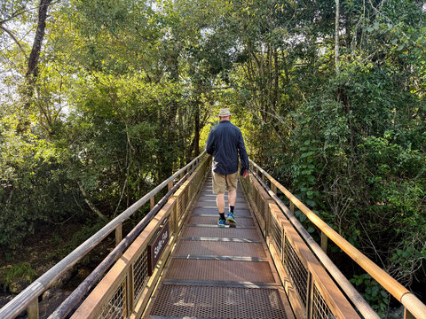 Rear view of a Man walking on the Upper Circuit pathway, Iguazu Falls, Iguazu National Park, Misiones Province, Argentina