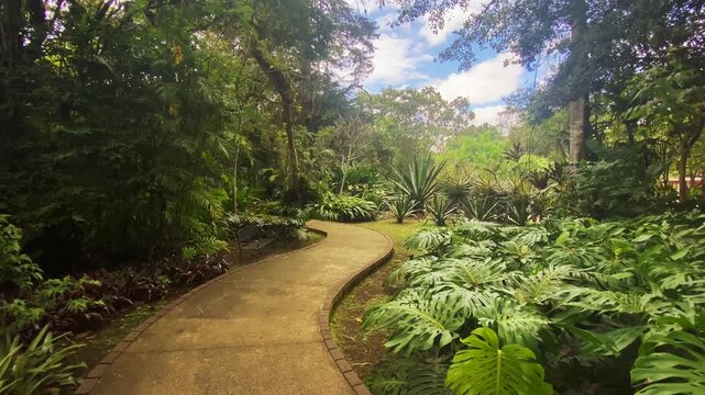 The Lankester Botanical Gardens are a set of gardens outside of Cartago, Costa Rica. The garden is open to the public, but is operated by the University of Costa Rica