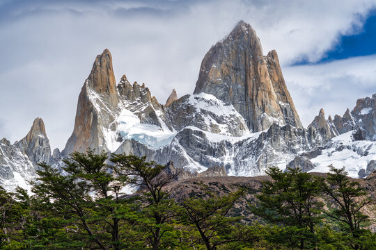Beech Trees in front of Mt Fitz Roy on the Laguna de Los Tres hike, Los Glaciares National Park, Argentina