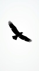 Fototapeta premium Silhouette of a soaring bird in flight against a pale sky with expansive calm.