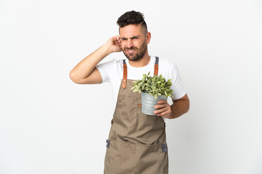 Gardener man holding a plant over isolated white background frustrated and covering ears