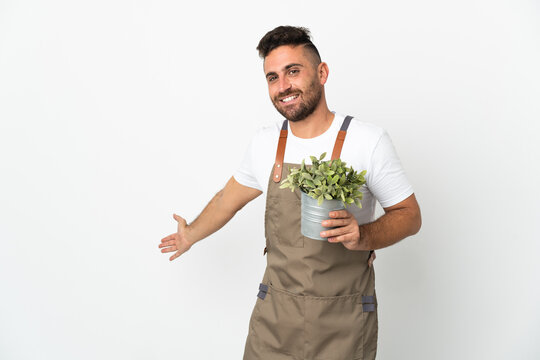 Gardener man holding a plant over isolated white background extending hands to the side for inviting to come