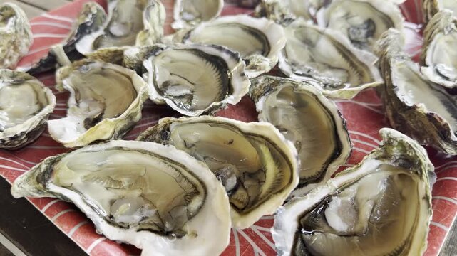 Freshly opened diploid oysters from Cap Ferret arranged on a serving platter, showcasing a local seafood specialty from Arcachon Bay.
