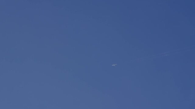 快晴の青空を一直線に横切る飛行機と白く伸びる飛行機雲