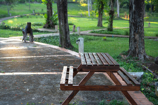 Empty wooden picnic table beside a shaded garden walkway in a green tropical park. Peaceful outdoor setting for recreation, relaxation, dining and public space concept. Sustainable public space.