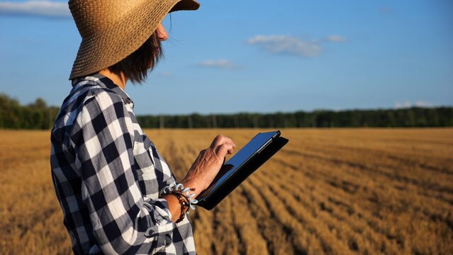 Adult farmer using digital tablet at wheat meadow on sunny day. Female agronomist monitoring harvest at barley field. Beautiful scenic landscape. Concept of agricultural business. Slow motion