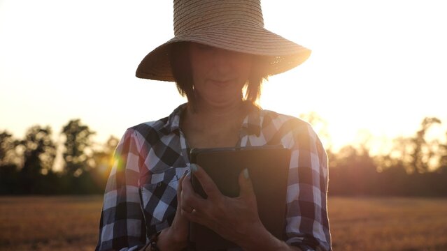 Female agronomist in straw hat monitoring harvest on barley field at sunset. Adult farmer using digital tablet on wheat meadow at dusk. Beautiful scenic landscape. Concept of agricultural business