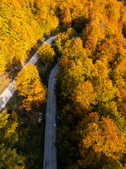 Fototapeta premium Drone perspective of a winding serpentine forest road during peak autumn foliage season