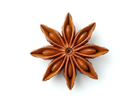 Star anise spice arranged in symmetrical pattern on white background