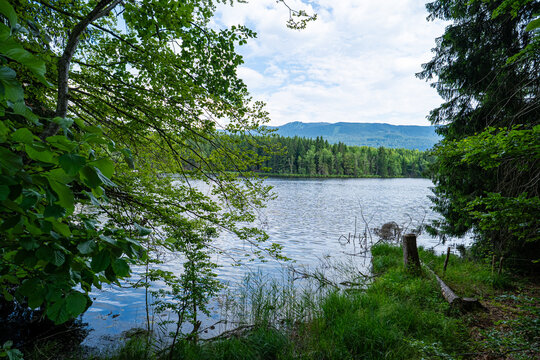 Ruhige Wasserfl&auml;che eines Waldsees mit Nadelwald und Bergen am Horizont.