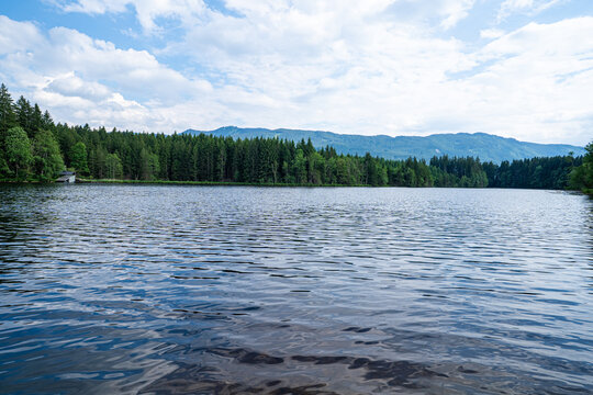 Ruhige Wasserfl&auml;che eines Waldsees mit Nadelwald und Bergen am Horizont.