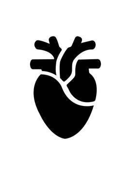 Cardiology heart silhouette icon, hospital and medical care vector isolated on white background